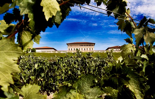 RV_BEST_VINEYARDS (18)