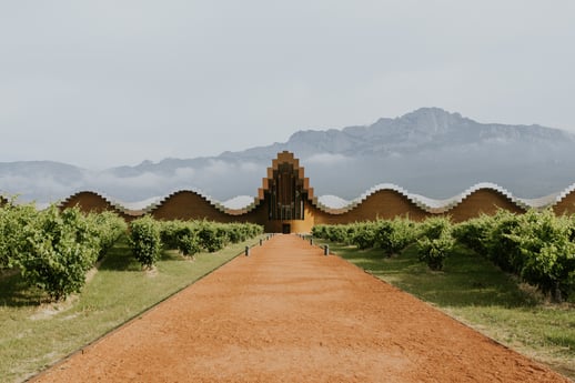 Winery and winemaking - for invite-1